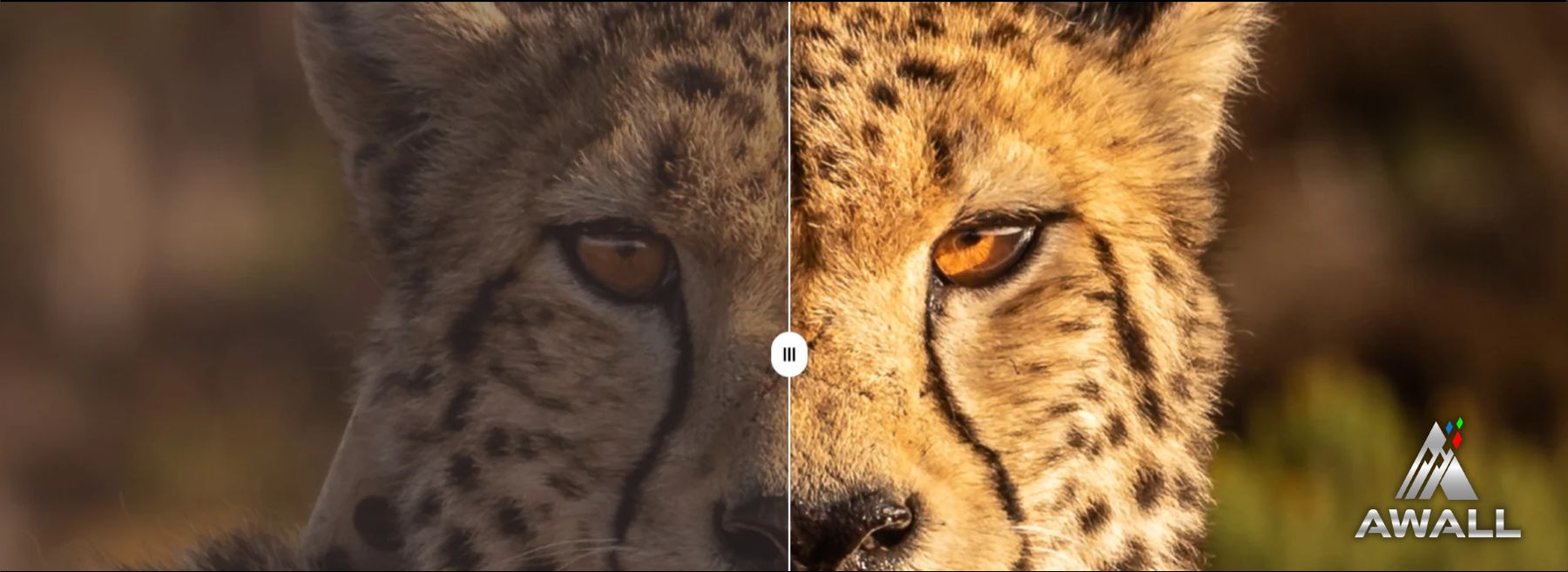 AWALL Vs Other Video Walls
