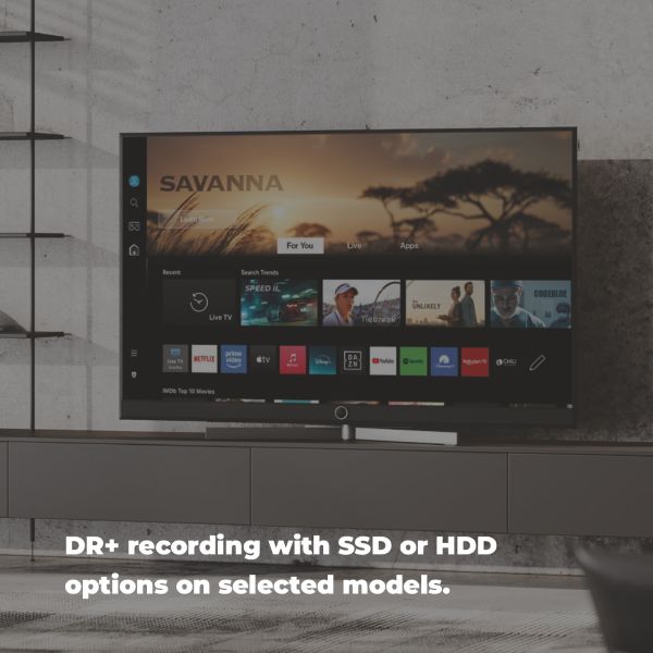 DR+ recording with SSD or HDD