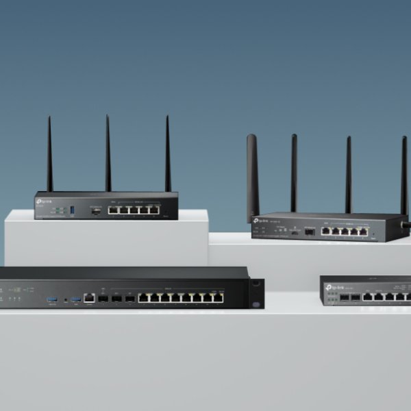 Security Gateways and Routers