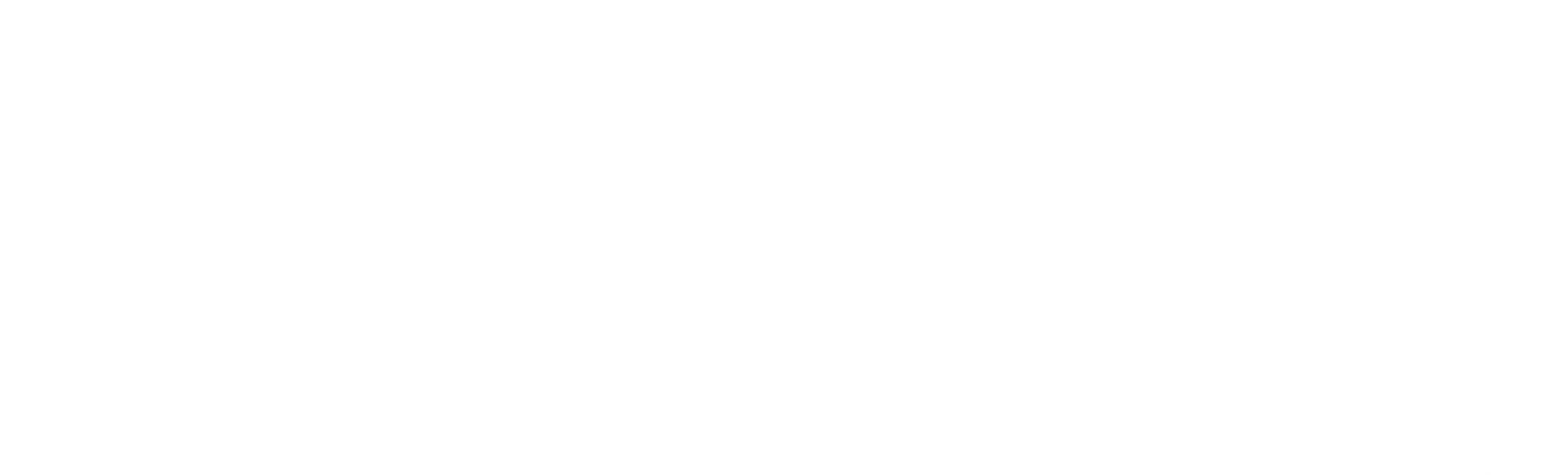 Hisense Logo